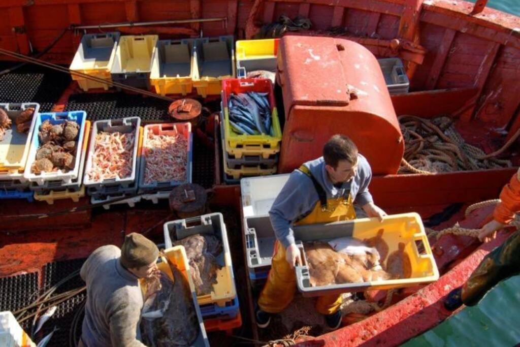 Kermaravel, Le Petit Manoir En Bord De Mer. サン・ポル・ド・レオン エクステリア 写真