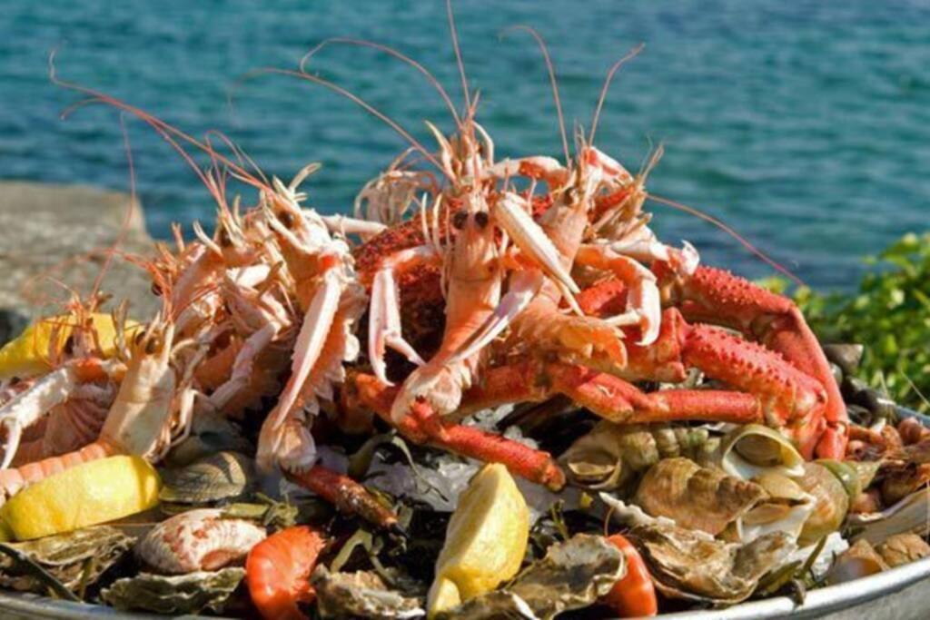Kermaravel, Le Petit Manoir En Bord De Mer. サン・ポル・ド・レオン エクステリア 写真